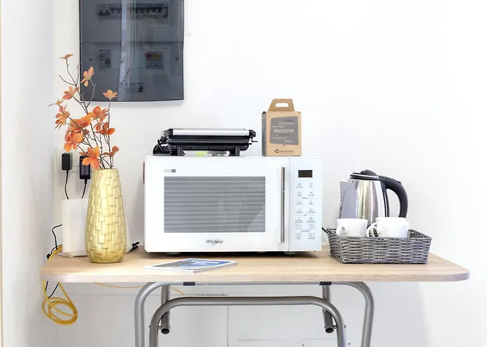 Domus Flavia By Interhome * אולביה